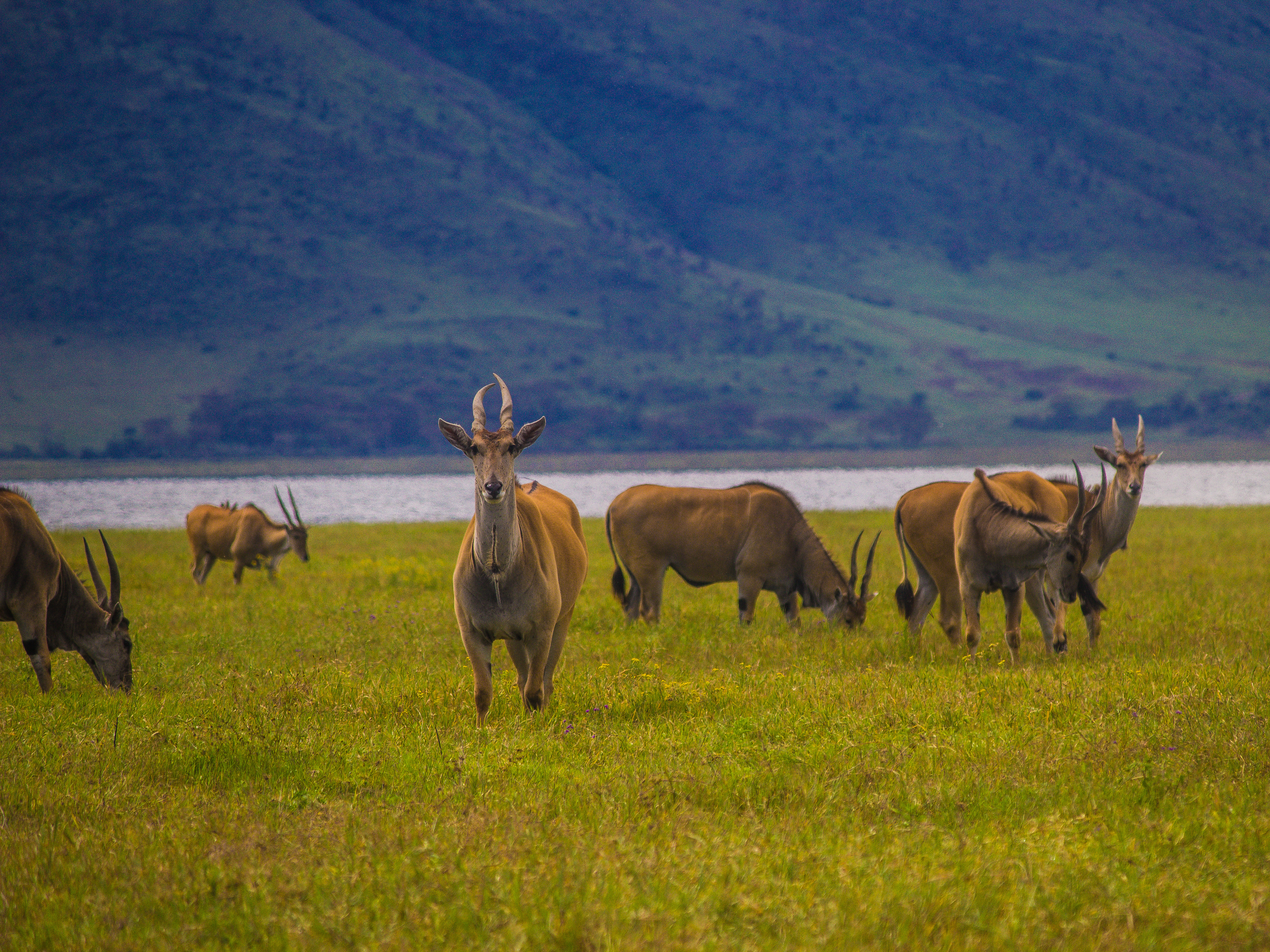 5-Day Northern Tanzania Itinerary